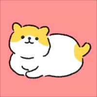 이상한 고양이  PC 용