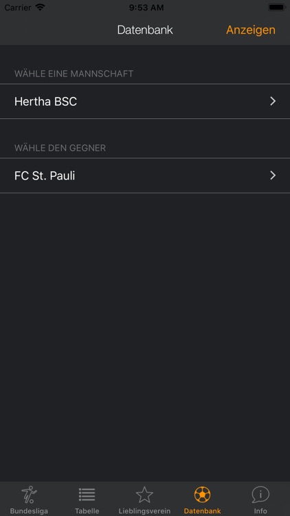 Bundesliga DB screenshot-6