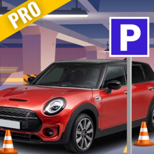 Pro Car Parking 3D