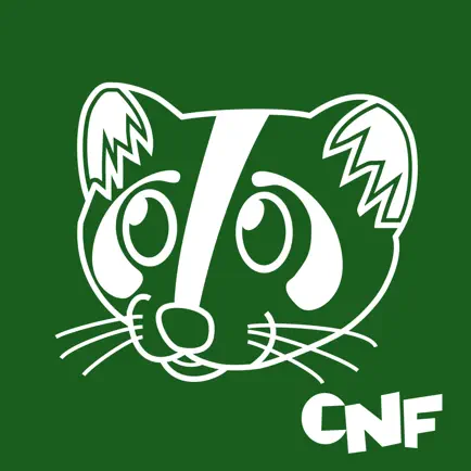CNF Cantonese Romanization Читы