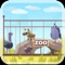 Icon Zoo Venture