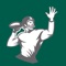 Provides scores for all professional football games dating back to 1920: