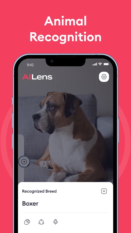 AI Lens: Translator+