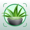 Icon Plant Identifier Tree Leaf
