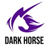 Dark Horse - Feel The Energy
