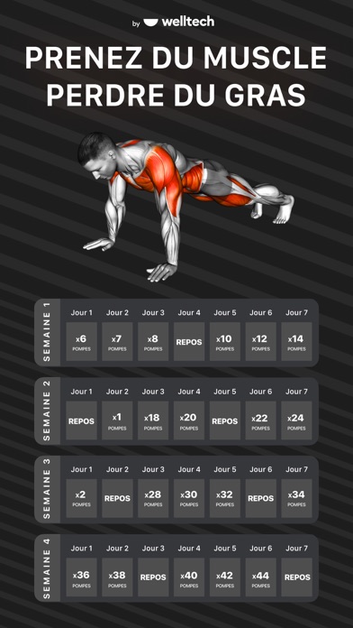 Muscle Booster - Musculation Muscle Booster - Musculation
