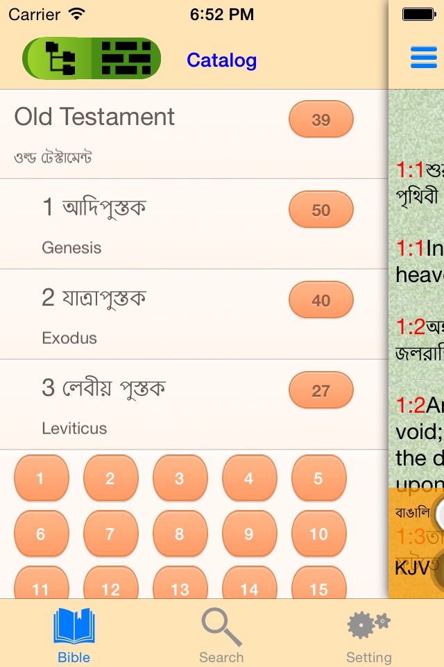 Bengali English Audio Bible screenshot 3
