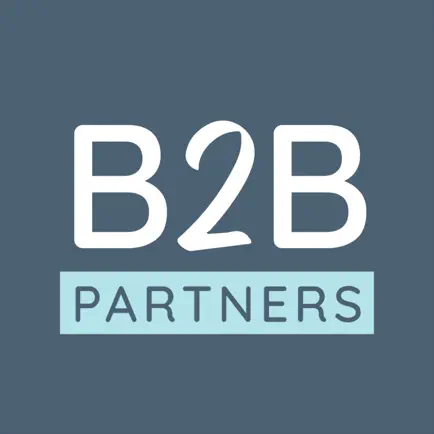 B2B Partner Читы