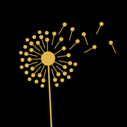 Rijvers Festival