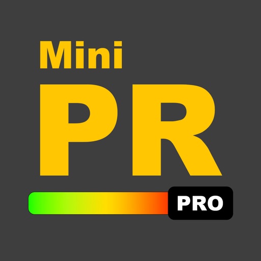 Mini Plane Racer Pro