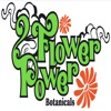 Flower Power Botanical