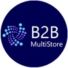 B2B MultiStore