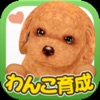 てのひらワンコ 【スマホでわんこ育成】 - iPhoneアプリ