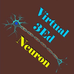 Learn Neuron