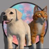 Icon Pets Simulator