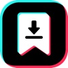 Icon Tik Downloader