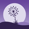 Dandelion: Antistress, Calm