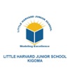 Little Harvard Junior School