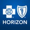 Icon Horizon Blue