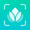 Using this product, you can instantly identify more than 20000 kinds of plants: flowers, trees, succulent plants, mushrooms, cacti, etc