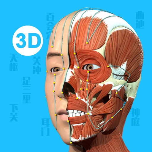 Acupuncture Master