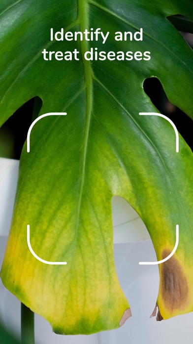 Carl: Plant Identification Screenshot