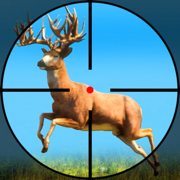 Animal Hunting Shooting Game