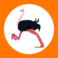 Ostrich Toolkit Erfahrungen und Bewertung