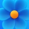 Blue Flower – приложение которое поможет вам отслеживать панические атаки, их периодичность и вести наблюдения которые могут помочь вам при работе с вашим психотерапевтом