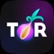 Icon TOR BROWSER : TOR VPN