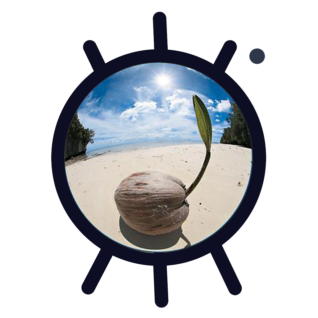 Get FishEyeVideo Square for iOS, iPhone, iPad Aso Report