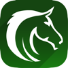 Horse Racing Picks & Hot Tips! - LOOK BEFORE YOU LEAP NET, LLC.