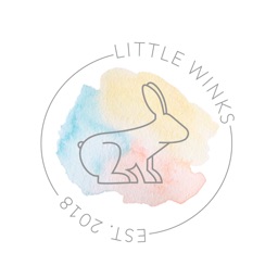 Little Winks Sleep Tracker