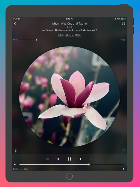 Ever Play - HiFi Music Player screenshot 4