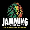 Jamming Radio