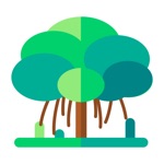 Fei Boss Garden Answering Ques