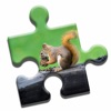 Squirrel Love Puzzle