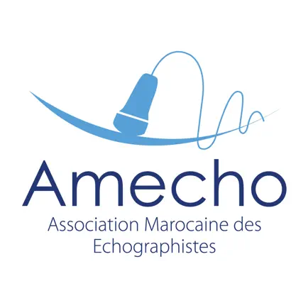 Amecho Читы