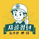 시골청년