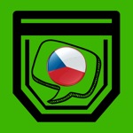 Чешские склонения в кармане
