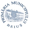 Portal Primaria Beius