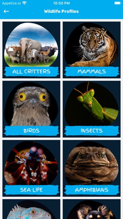 CRITTERFACTS screenshot-3