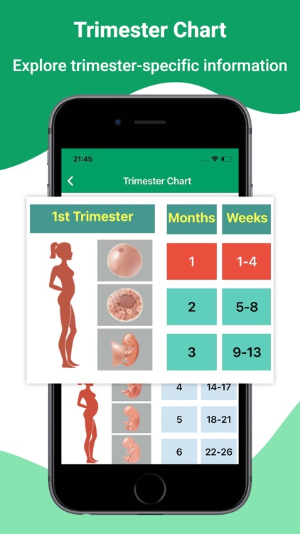 Pregnancyfy App & Baby Tracker screenshot-4