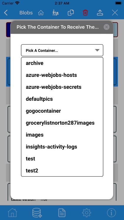 Azure Simple Storage Manager screenshot-3