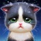 Welcome to Kitten Match