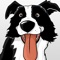 CollieMoji is the #1 emoji app for Border Collie Lovers