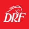 Horse Racing Betting is a breeze with DRF Bets