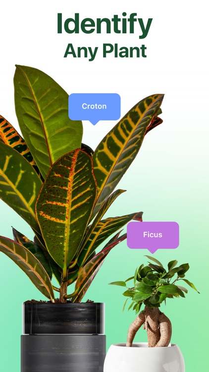 NatureID: Plant Identification screenshot-0