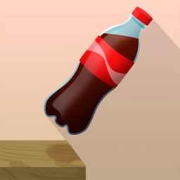 Bottle Flip Era: 3D Meme Games