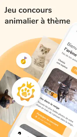 Game screenshot Scorpet: Concours animalier mod apk